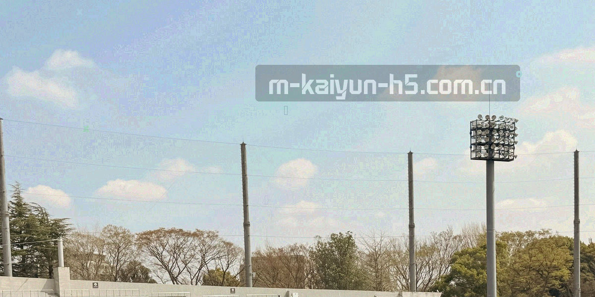 四段式对接流程信息图，四个编号节点由深蓝绿过渡到球场绿，节点之间以细线相连